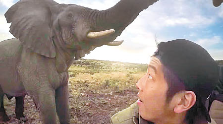 托馬斯‧陳看到大象走近，驚喜萬分。（互聯網圖片）
