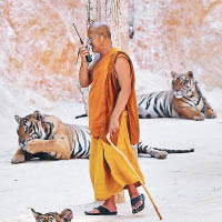 園內僧人稱他們有好好照顧老虎。