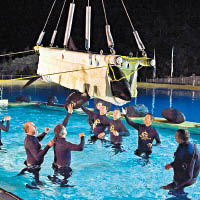 「摩根」在數年前由荷蘭的水族館送到西班牙的鸚鵡公園。