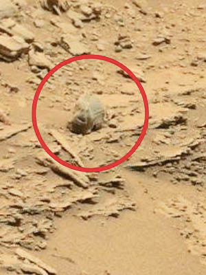 有網民發現NASA公布的火星表面照片上，有一件看似是骷髏頭（紅圈示）的物體。（互聯網圖片）