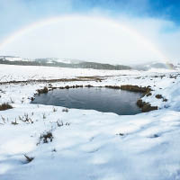 塔斯馬尼亞的彩虹映照在白茫茫的雪上。（GettyImages）