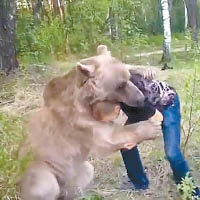 棕熊作勢親吻男子。（互聯網圖片）