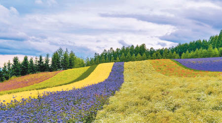 1. 日本北海道