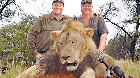 帕爾默（左）與導遊及被他獵殺的獅子合照。
