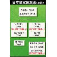 日本皇室家族圖（節錄）