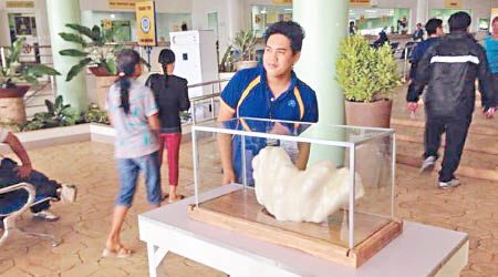巨型珍珠現時於菲律賓展出，一名遊客與它合照。（互聯網圖片）