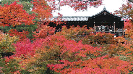 京都是港人熱門賞楓地點。（資料圖片）