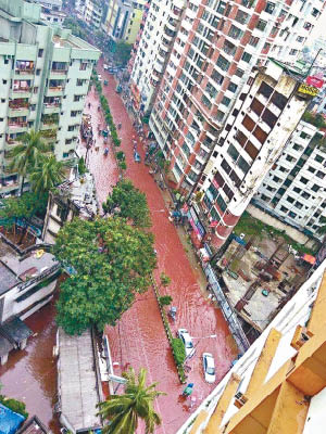 雨水和動物鮮血混合流到街道，造成「血流成河」的驚人景象。（互聯網圖片）