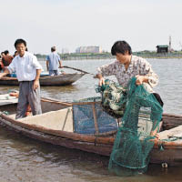 今年陽澄湖開捕日期未至。圖為漁民往年在陽澄湖捕蟹。（資料圖片）