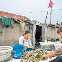 此情堪記<br>商販在魚鳴嘴碼頭市場售賣海產。