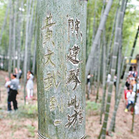 常州<br>南山竹海的翠竹被缺德遊客刻字。
