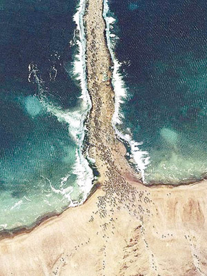 有科學家相信紅海曾分成兩半，並埋葬埃及軍隊。（資料圖片）