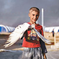一名伊拉克男孩撤至難民營避戰火。