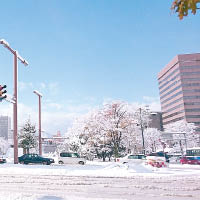 白雪覆蓋札幌街道。