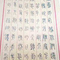 網民指家書字體優美。