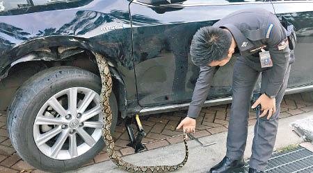巨蟒躲在車底。（互聯網圖片）
