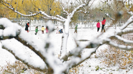 北京初雪後，樹枝披上晶瑩的「雪掛」。（中新社圖片）