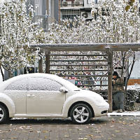 北京昨降今冬首場雪，汽車和樹木都披上「銀裝」。