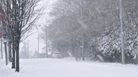 日本<br>北海道小樽大雪後白茫茫一片。（互聯網圖片）