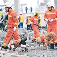 消防部門出動搜救犬進行搜索。（中新社圖片）