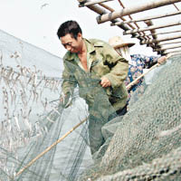 洞庭湖已面臨漁業資源減少困境。（互聯網圖片）