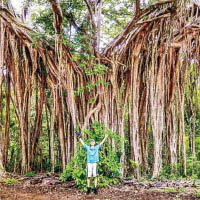 霍華德在哥斯達黎加一處森林留影。（互聯網圖片）