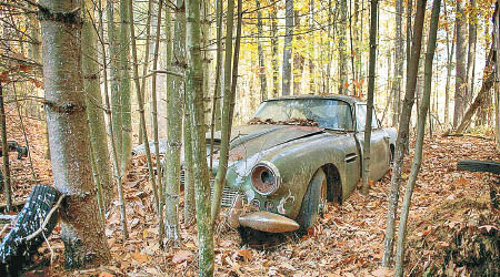 該輛跑車被棄置在森林多年。