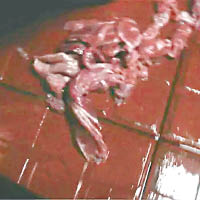 掉在地下的變質鴨肉也會被放進染肉盤加工。（電視畫面）