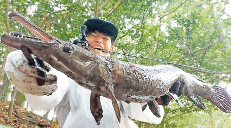 松田仁釣得巨大福鱷。（互聯網圖片）