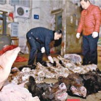 四川警方檢獲逾兩噸受保護動物的屍體及相關肉製品。（互聯網圖片）