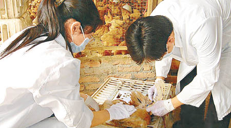 廣東省政府曾派出防疫人員，到家禽養殖場、屠宰場等消毒。