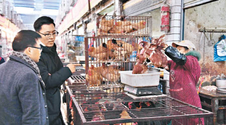 內地禽流感肆虐，各地活禽市場須加強清潔。（資料圖片）
