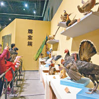 浙江杭州有博物館舉辦與雞有關的特別展覽。