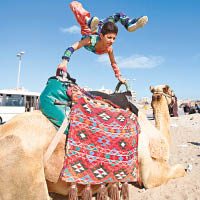 沙爾克在駱駝背上演練。（互聯網圖片）