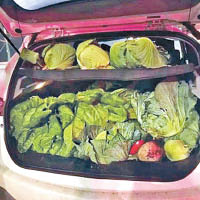 偷來的菜塞滿私家車車尾箱。（互聯網圖片）