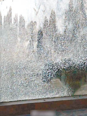 老虎園的玻璃牆布滿裂紋，幾近破碎。（互聯網圖片）