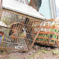 「袖珍動物園」如悲慘世界。