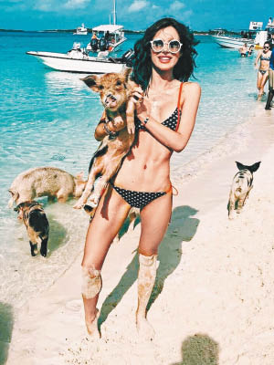 美國女星Bella Thorne在島上抱豬合照。（互聯網圖片）
