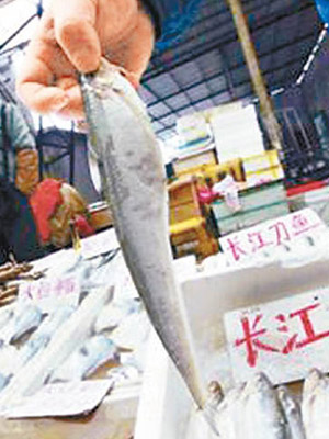 刀魚是長江三鮮之一，頗受民眾喜愛。