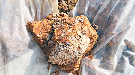 污泥中鎘、鎳等金屬含量超標。（互聯網圖片）