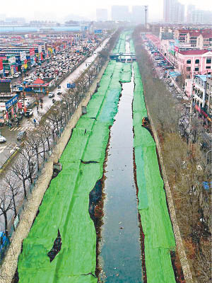興濟河沿岸鋪上長長的綠色紗網。
