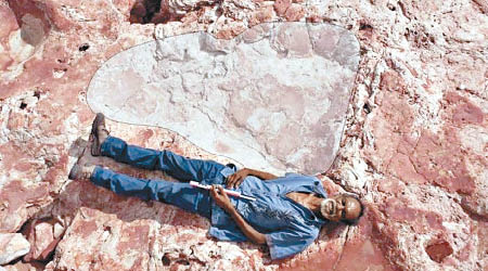 最新發現的恐龍腳印為全球最大。（互聯網圖片）
