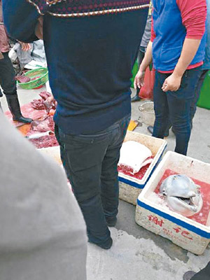 珠海街頭有人即宰即賣海豚。