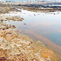 另一處大城縣的污水滲坑廢水呈酸性。