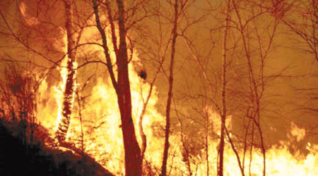內蒙古大興安嶺發生山林大火。（互聯網圖片）