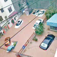 增城中新鎮多輛汽車在「水中游泳」。