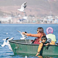 洱海每年吸引不少遊客參觀。（互聯網圖片）