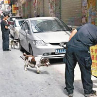警方出動警犬搜尋斷肢。（互聯網圖片）