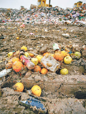 全球浪費食物的情況日益嚴重。（資料圖片）