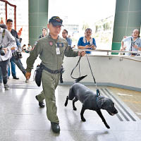 警犬在醫院搜索爆炸品。